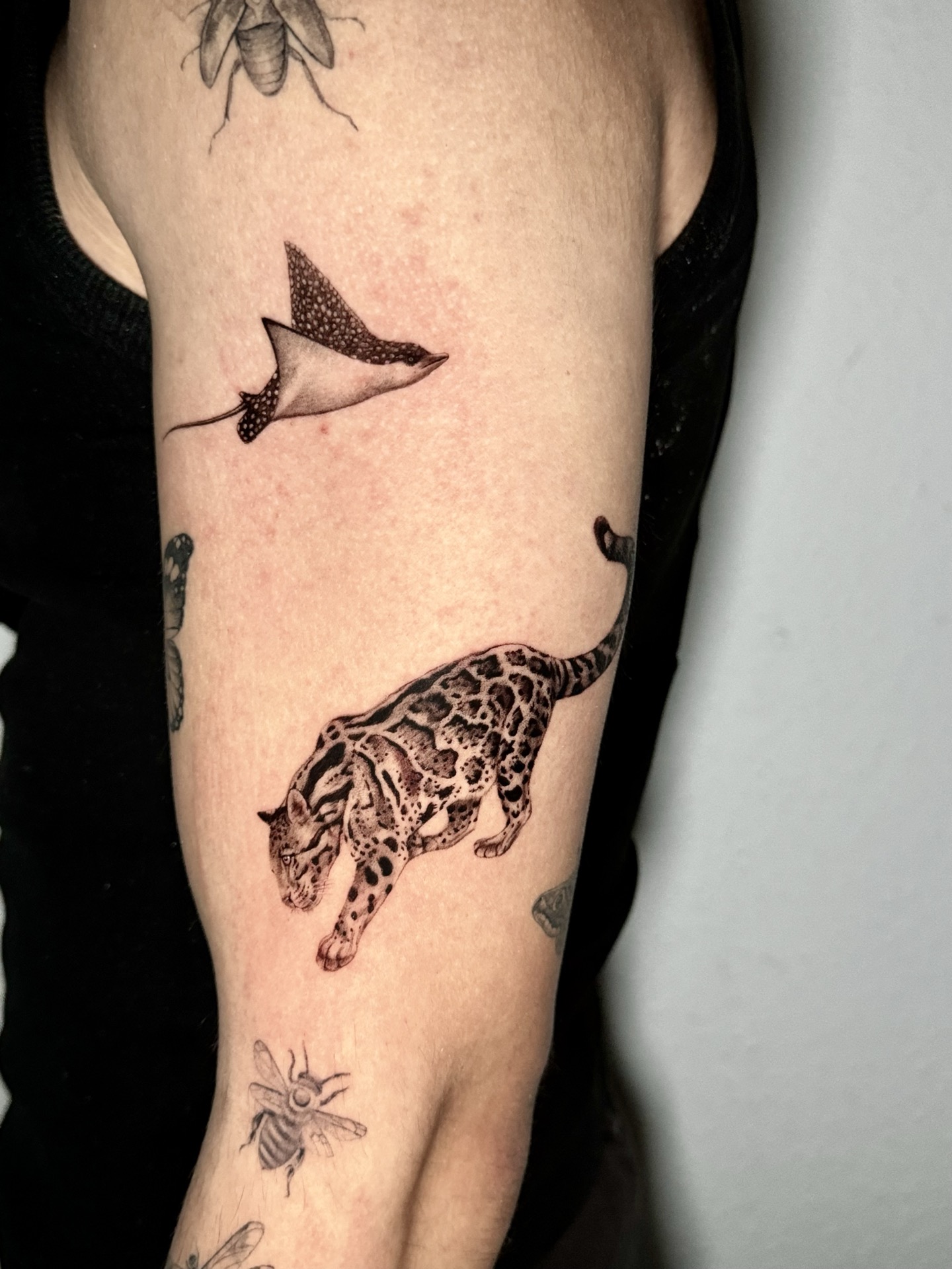 Lebensechtes Microrealism Tattoo mit feinen Details